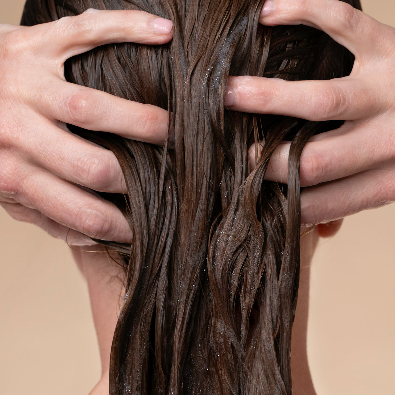 505886-505909-505923-505947-507873-505961-LiquidShampoo-Model-2-1280x1280px.jpg